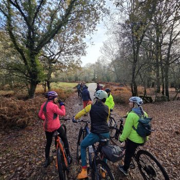 WhatsApp Image 2026-01-02 at 11.48.55